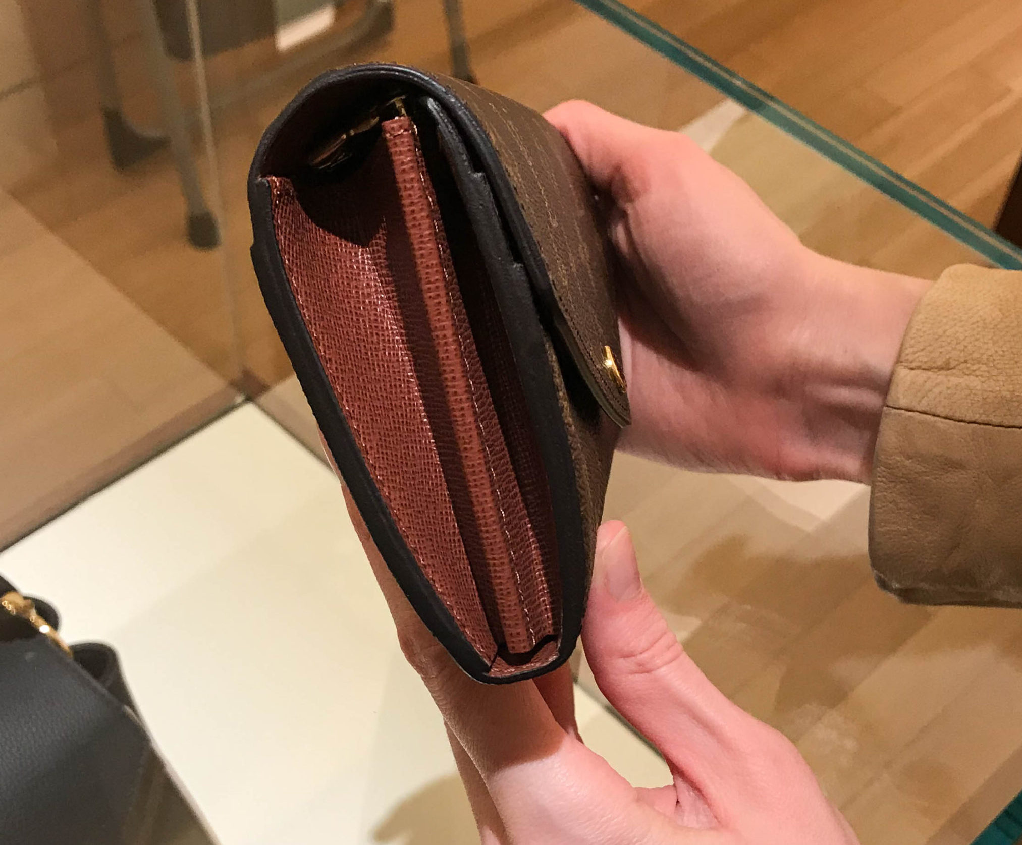 Louis Vuitton Sarah Wallet with iPhone X